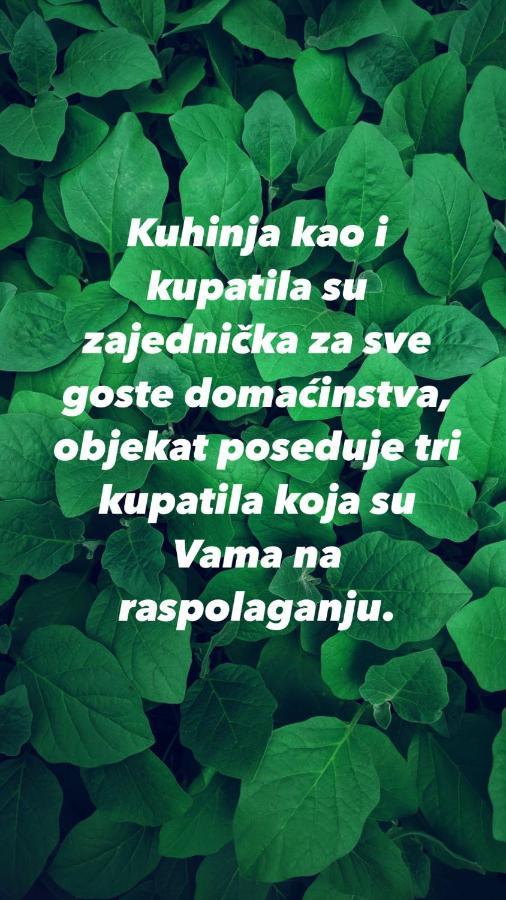 Konaci Nikola Banja Vrujci Hotell Gornja Toplica Exteriör bild