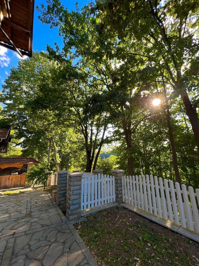Konaci Nikola Banja Vrujci Hotell Gornja Toplica Exteriör bild