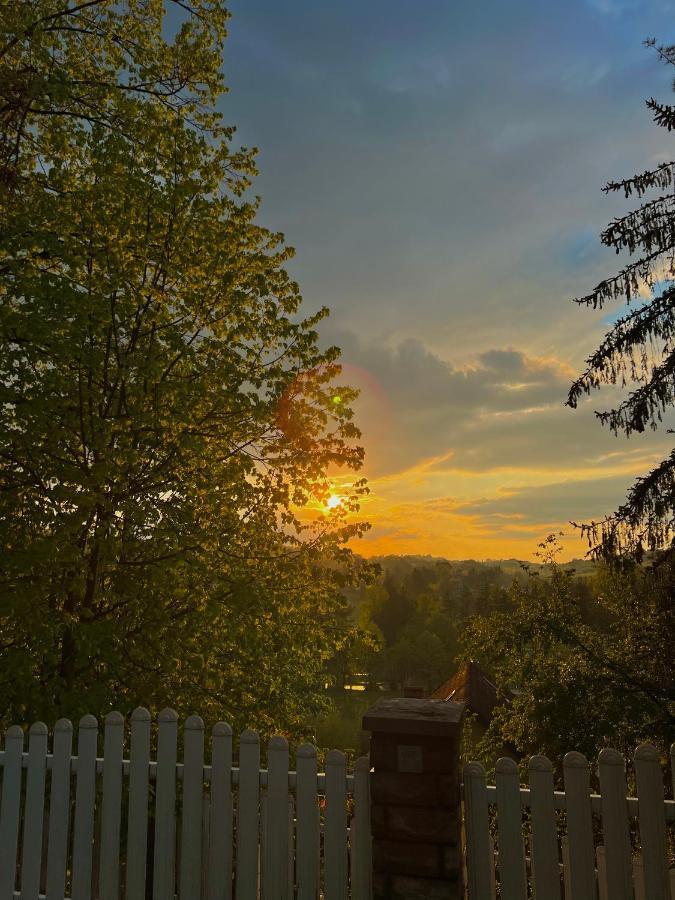 Konaci Nikola Banja Vrujci Hotell Gornja Toplica Exteriör bild