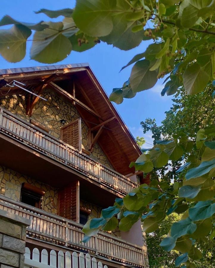 Konaci Nikola Banja Vrujci Hotell Gornja Toplica Exteriör bild